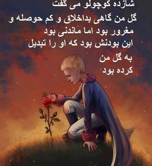 عکس میم مالکیت