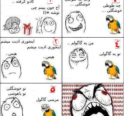 عکس طنز طوطی