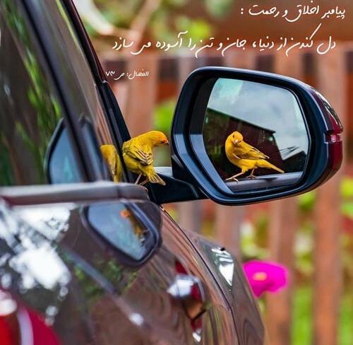 عکس نوشته آینه ماشین