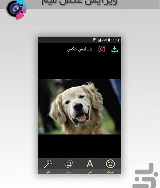 عکس میم بدون متن