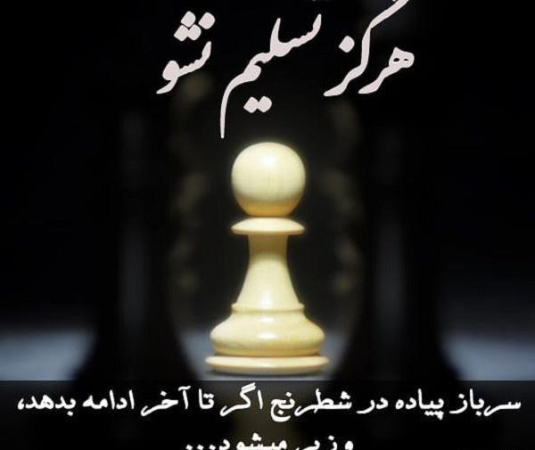 عکس انگیزشی شطرنج