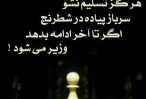 عکس انگیزشی شطرنج