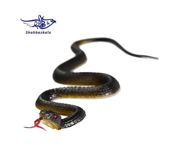 عکس مار اسباب بازی