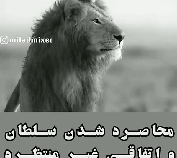 عکس نوشته شیر سلطان جنگل