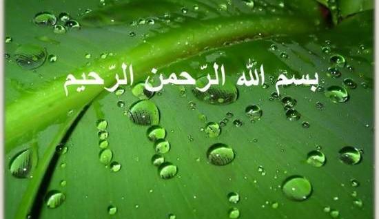 عکس بسم الله الرحمن الرحیم سبز