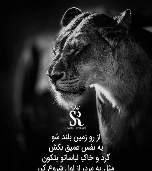 عکس انگیزشی سفید