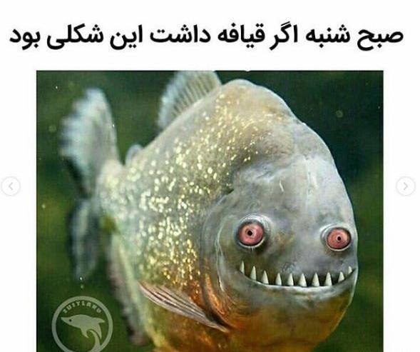 عکس طنز صبح