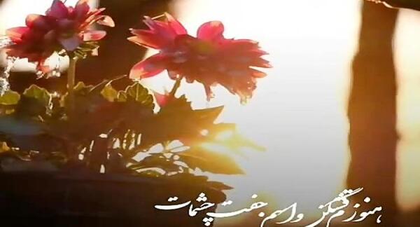 عکس استوری واتساپ آهنگ