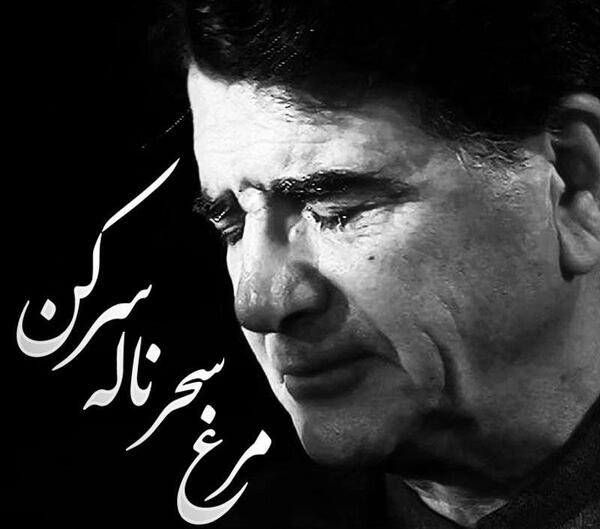 عکس استوری واتساپ شجریان