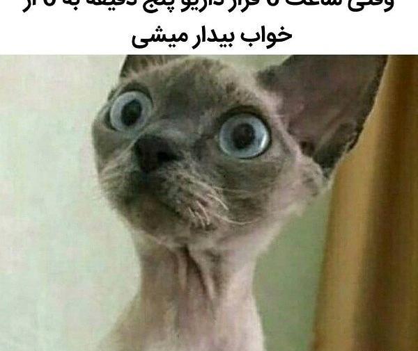 عکس میم طنز