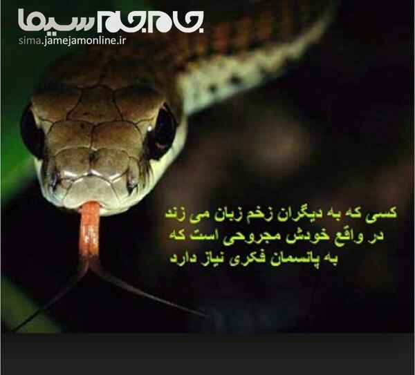 عکس مار نفیسه روشن