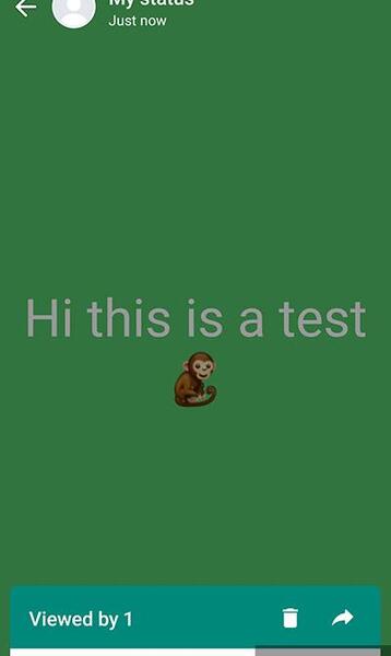 عکس استوری واتساپ چیست