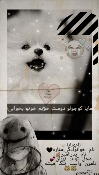 عکس سگ امیر مقاره