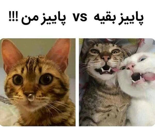 عکس طنز پاییزی