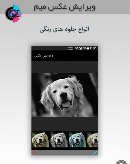 عکس میم سگ