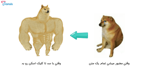 عکس میم سگ