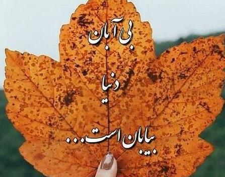 عکس پروفایل آبان ماهی جدید