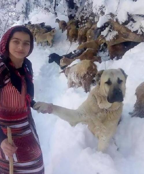 عکس دختر ترکیه ای زیبا