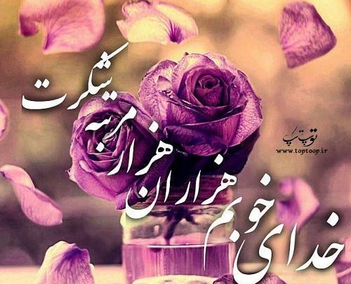 عکس استوری واتساپ معجزه خدا
