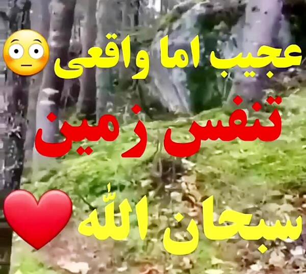 عکس استوری واتساپ معجزه خدا