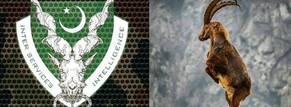 عکس حیوان مار خور