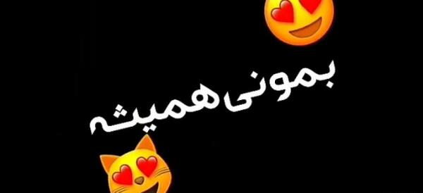 عکس استوری واتساپ یوسف زمانی