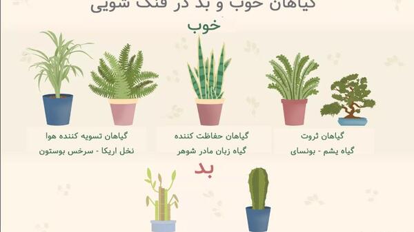 عکس ثروت فنگ شویی