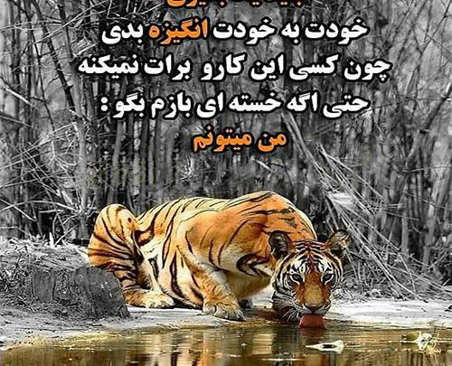 عکس انگیزشی خاص