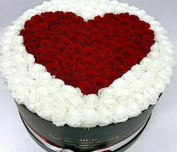 عکس گل برای تولد همسر