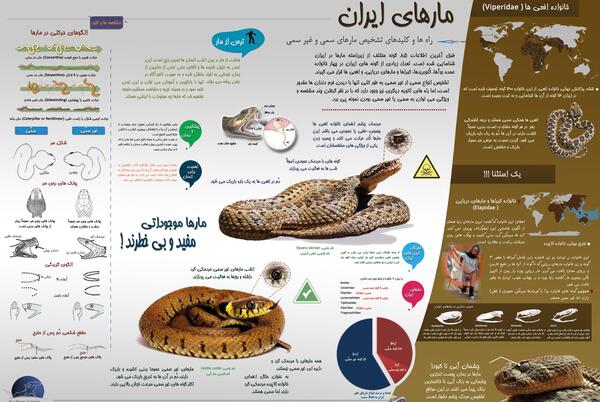 عکس مار غیر سمی