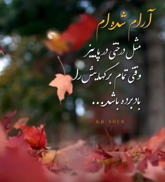 عکس استوری واتساپ پاییز