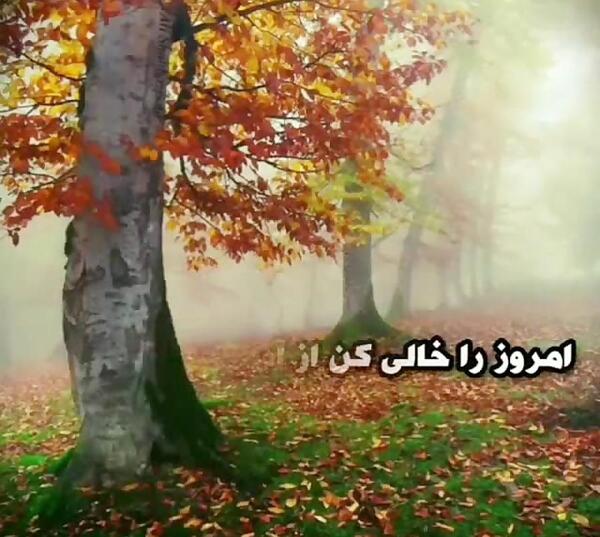 عکس استوری واتساپ پاییز