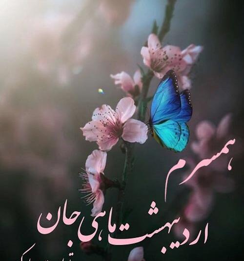 عکس تولد همسر اردیبهشت