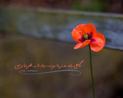 عکس استوری واتساپ حرف حساب