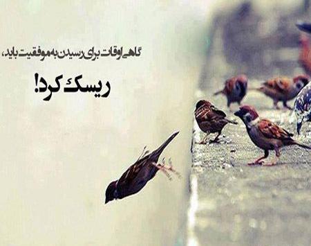 عکس نوشته موفقیت زنان