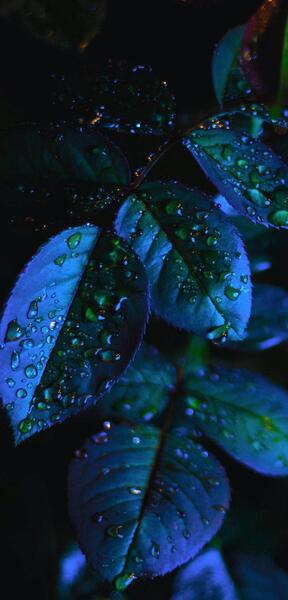 عکس تصویر زمینه خاص