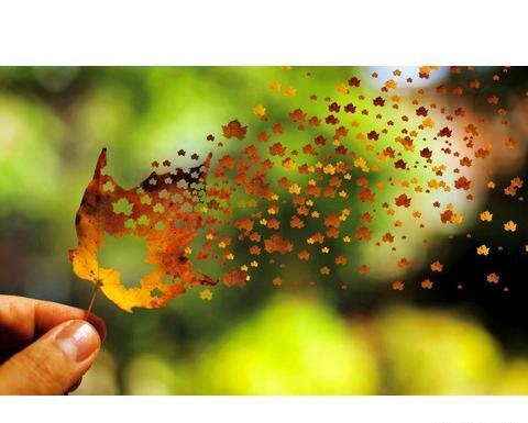 عکس انگیزشی پاییز