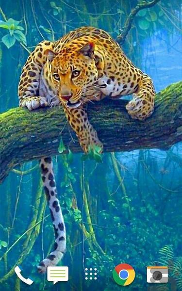 عکس تصویر زمینه تبلت