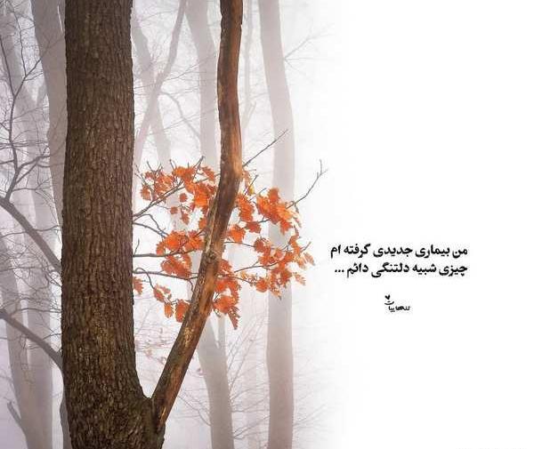 عکس نوشته تنهایی و دلگیری