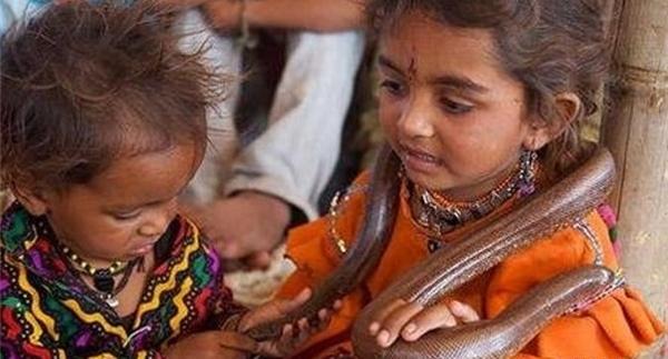 عکس مارگیر