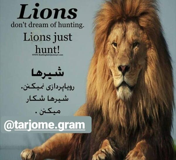 عکس نوشته موفقیت به زبان انگلیسی