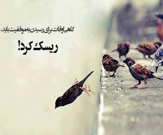 عکس نوشته موفقیت و پیشرفت