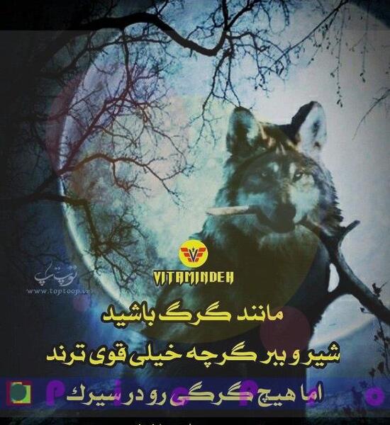 عکس انگیزشی گرگ