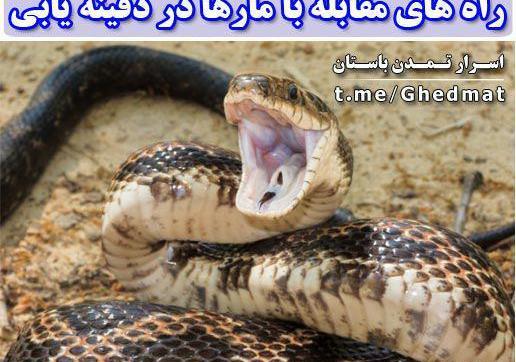 عکس مار طلسم شده