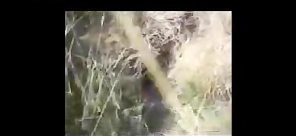 عکس مار طلسم شده