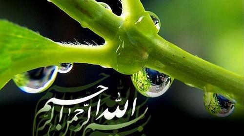 عکس بسم الله الرحمن الرحیم در پاییز