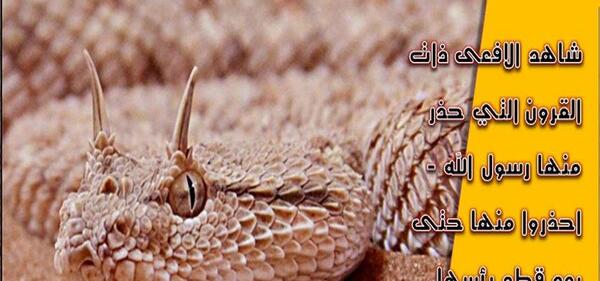 عکس مار شاخدار