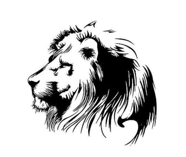 عکس طرح شیر