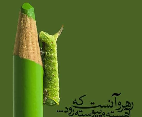 عکس برای گروه موفقیت