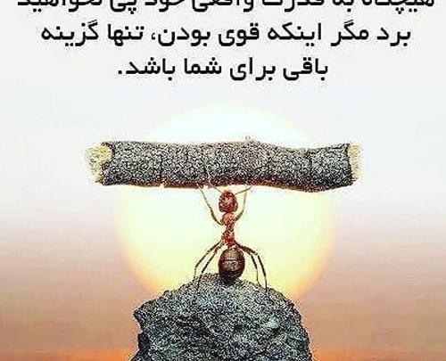 عکس موفقیت درس